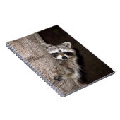 アライグマ ノートブック (右側)