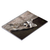 アライグマ ノートブック (左側)