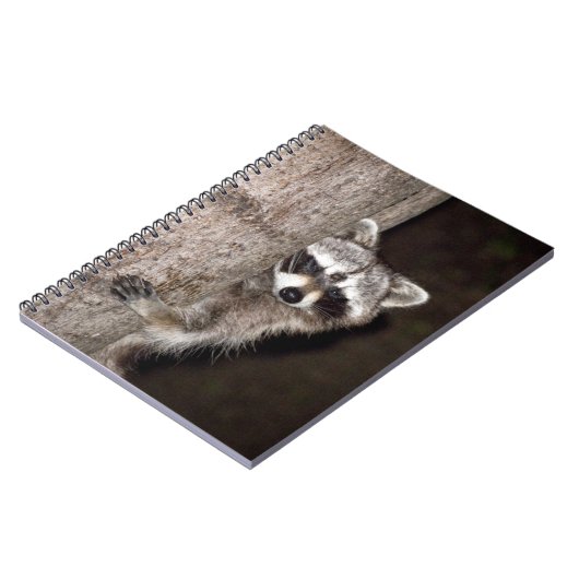 アライグマ ノートブック (左側)