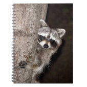 アライグマ ノートブック (正面)