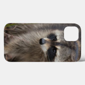 アライグマ、プロキオンのlotor、フロリダ、米国1 Case-Mate iPhoneケース (裏面 (横))