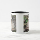 アライグマ マグカップ (中央)