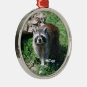 アライグマ メタルオーナメント (右)