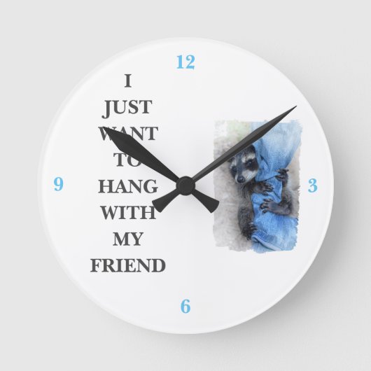 アライグマ ラウンド壁時計 (正面)