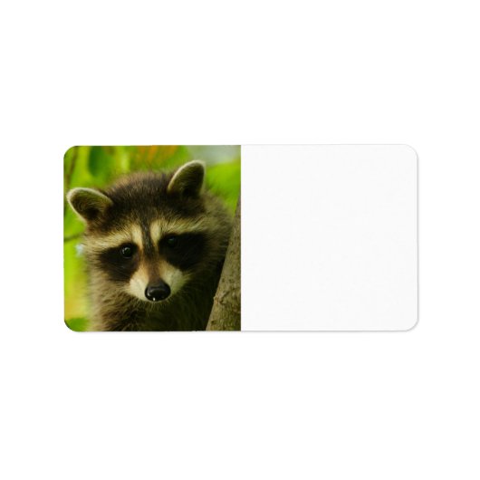 アライグマ ラベル (正面)