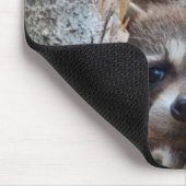 アライグマ、リンカーン郡ワイオミング マウスパッド (コーナー)