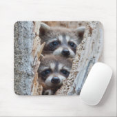 アライグマ、リンカーン郡ワイオミング マウスパッド (マウス)