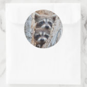 アライグマ、リンカーン郡ワイオミング ラウンドシール (バッグ)