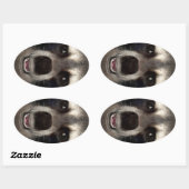 アライグマ 楕円形シール (シート)