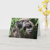 アライグマ- 3人の友達 カード (黄色い花)