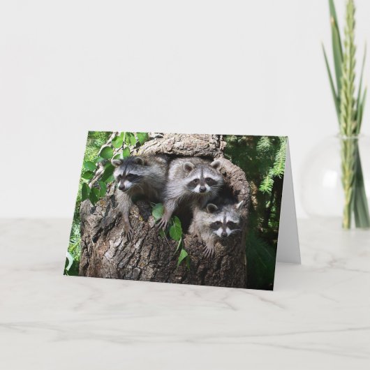 アライグマ- 3人の友達 カード (正面)