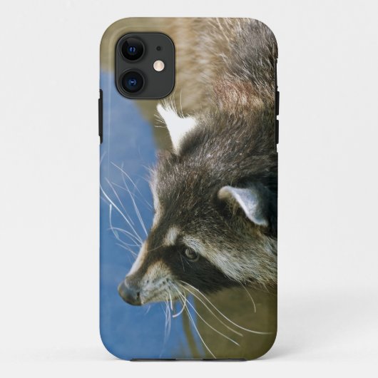 アライグマ Case-Mate iPhoneケース (裏面)