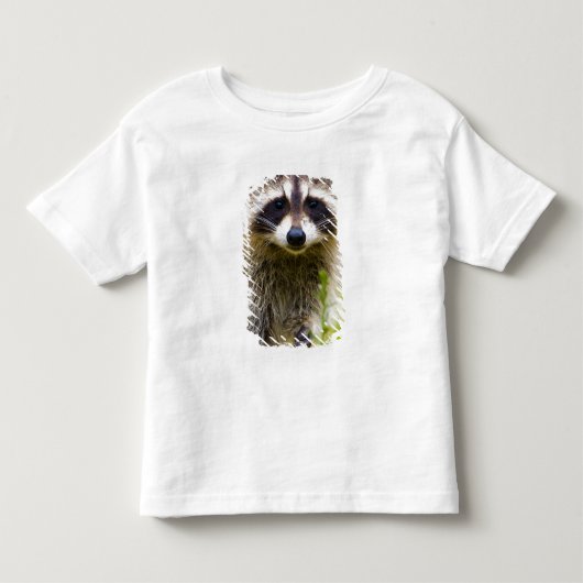 アライグマ、Procyon lotor トドラーTシャツ (正面)