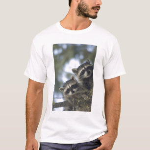 アライグマ (Procyon Lotor) フィッシュレイク 中央 Tシャツ
