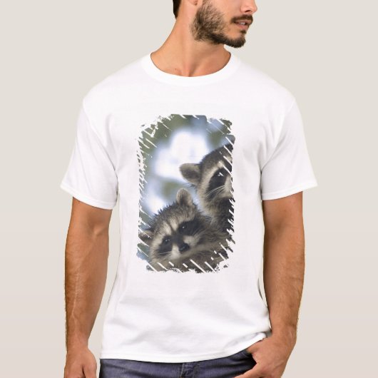 アライグマ (Procyon Lotor) フィッシュレイク 中央 Tシャツ (正面)
