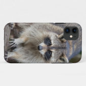 アライグマ、Procyon lotor、フロリダ、アメリカ 2 Case-Mate iPhoneケース (裏面(横))