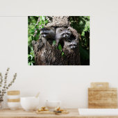 アライグマ – The Three Amigos ポスター (キッチン)