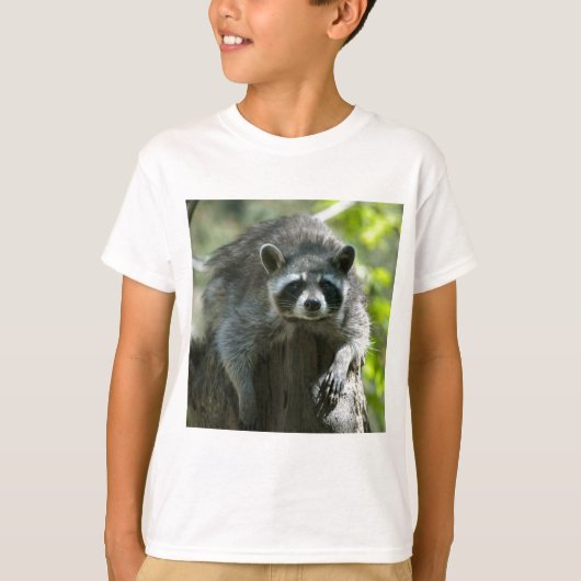 アライグマTシャツ Tシャツ (正面)