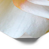 アライズ&シャイン ポスター (角)