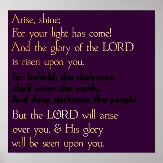 アライズ&シャイン ポスター (正面)