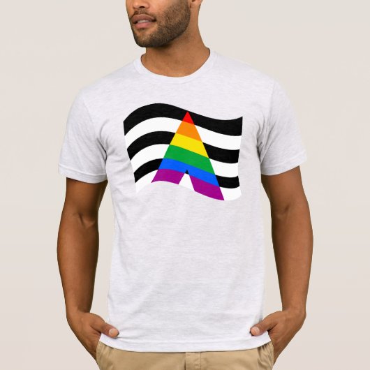 アライ プライド Tシャツ (正面)