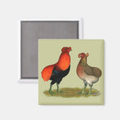 アラウカナレッドペア マグネット (正面/裏面)