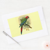 アラエリスロセファラ長方形ステッカー 長方形シール (封筒)