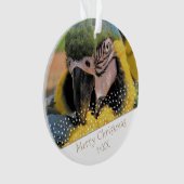 アラオウムPetフォトスタークリスマスキープサケ オーナメント (正面)