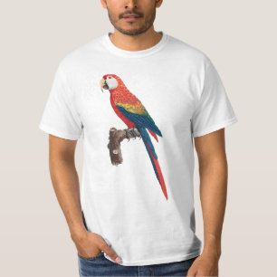 アラカンガパロット Tシャツ
