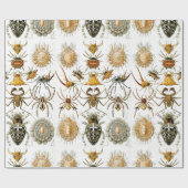 アラクニズバイヘッケルヴィンテージスパイダーイラストレーション ラッピングペーパー (フラット)