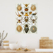 アラクニッド科学イラストレーション ポスター (キッチン)