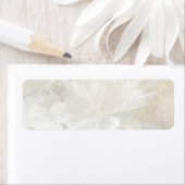 アラゴナイトと石英 ラベル (インサイチュ)