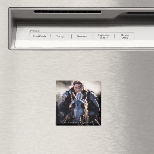 アラゴン乗馬 マグネット (インサイチュ (食洗機))