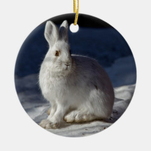 アラスカのかんじきノウサギ セラミックオーナメント