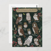 アラスカのはがきに見られるフクロウ ポストカード (正面/裏面)