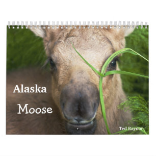 アラスカのアメリカヘラジカ カレンダー