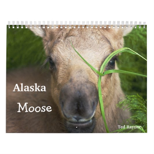 アラスカのアメリカヘラジカ カレンダー (カバー)