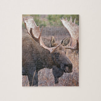 アラスカのアメリカヘラジカ ジグソーパズル