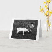 アラスカのエスキモー語および捕獲されたトナカイ カード (黄色い花)