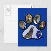 アラスカのオオカミの足のプリント ポストカード (正面/裏面)