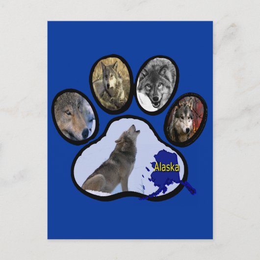 アラスカのオオカミの足のプリント ポストカード (正面)