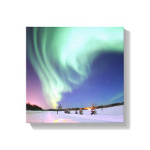 アラスカのオーロラ・ボレアリスまたはノーザンライト