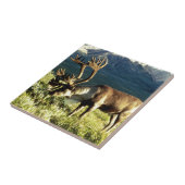 アラスカのカリブー タイル (側面)