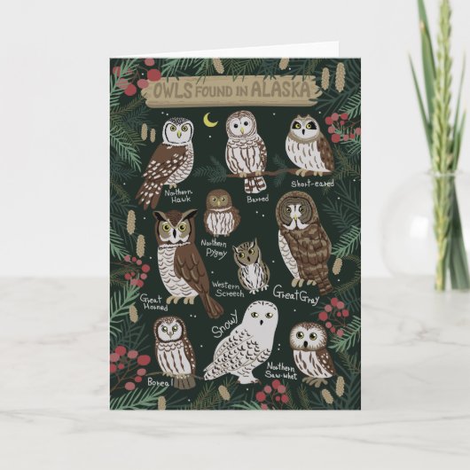 アラスカのグリーティングカードで見つかったフクロウ カード (正面)