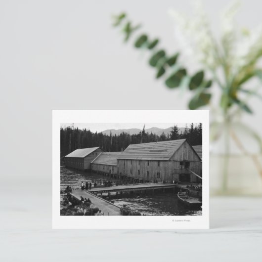 アラスカのケチカン近くのサーモン砲台 ポストカード (スタンド正面)