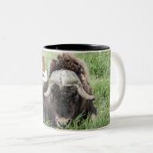 アラスカのコーヒー・マグ-ジャコウウシ ツートーンマグカップ (正面右)