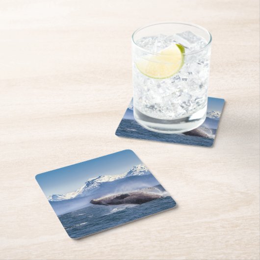 アラスカのザトウクジラを破ること スクエアペーパーコースター (インサイチュ)