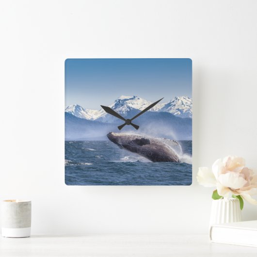 アラスカのザトウクジラを破ること スクエア壁時計 (ホーム)