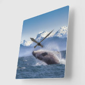 アラスカのザトウクジラを破ること スクエア壁時計 (傾斜)