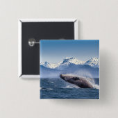 アラスカのザトウクジラを破ること 缶バッジ (正面&裏面)